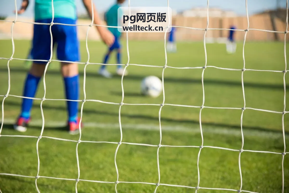 pg网页版 回放：观众提问集中回应